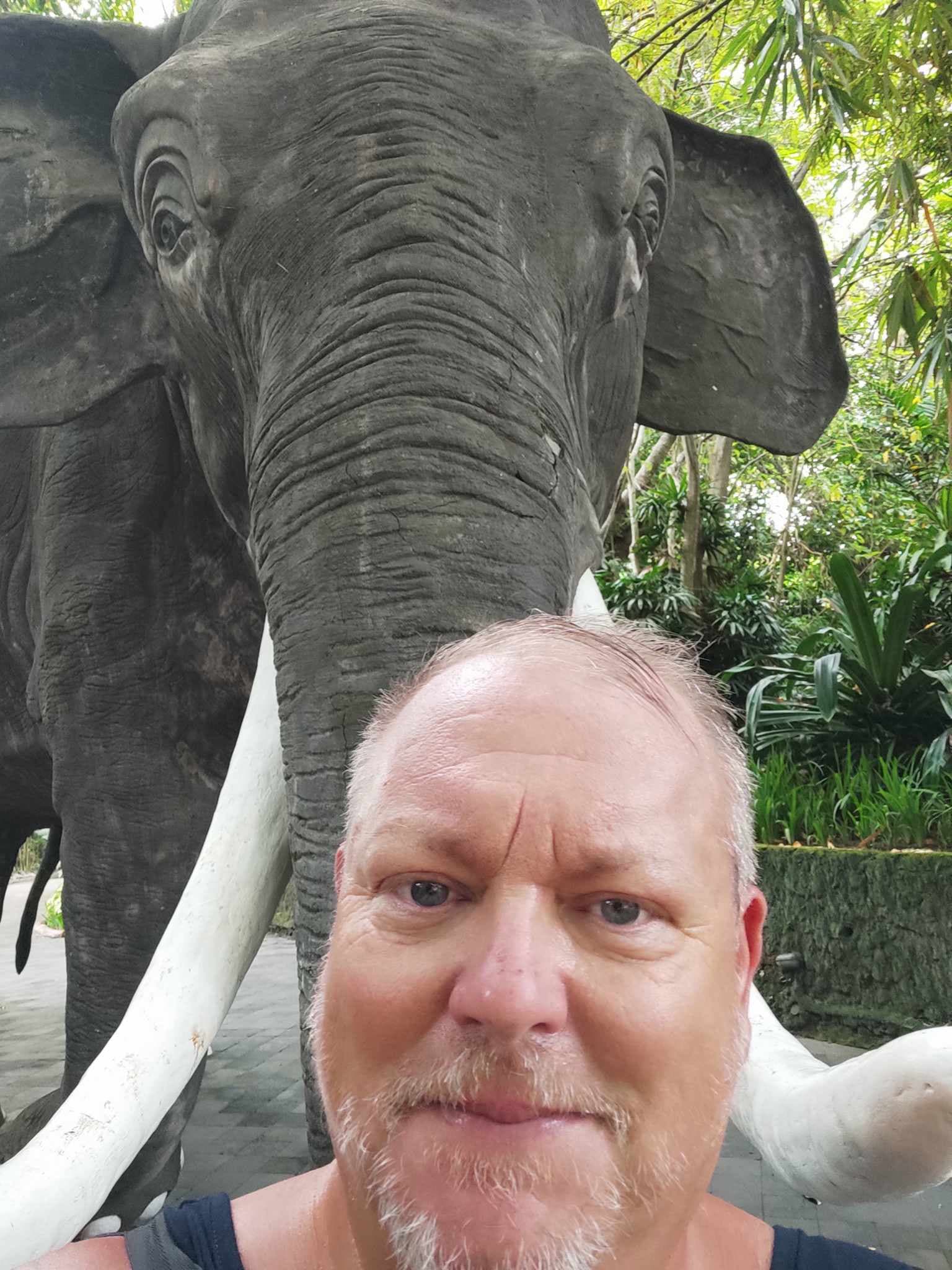 11. nap: Bali Safari Park